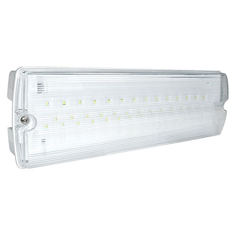 Lightsafe ERLED3 LED Emergency Bulkhead Light Fitting 3.8 Watt IP65 