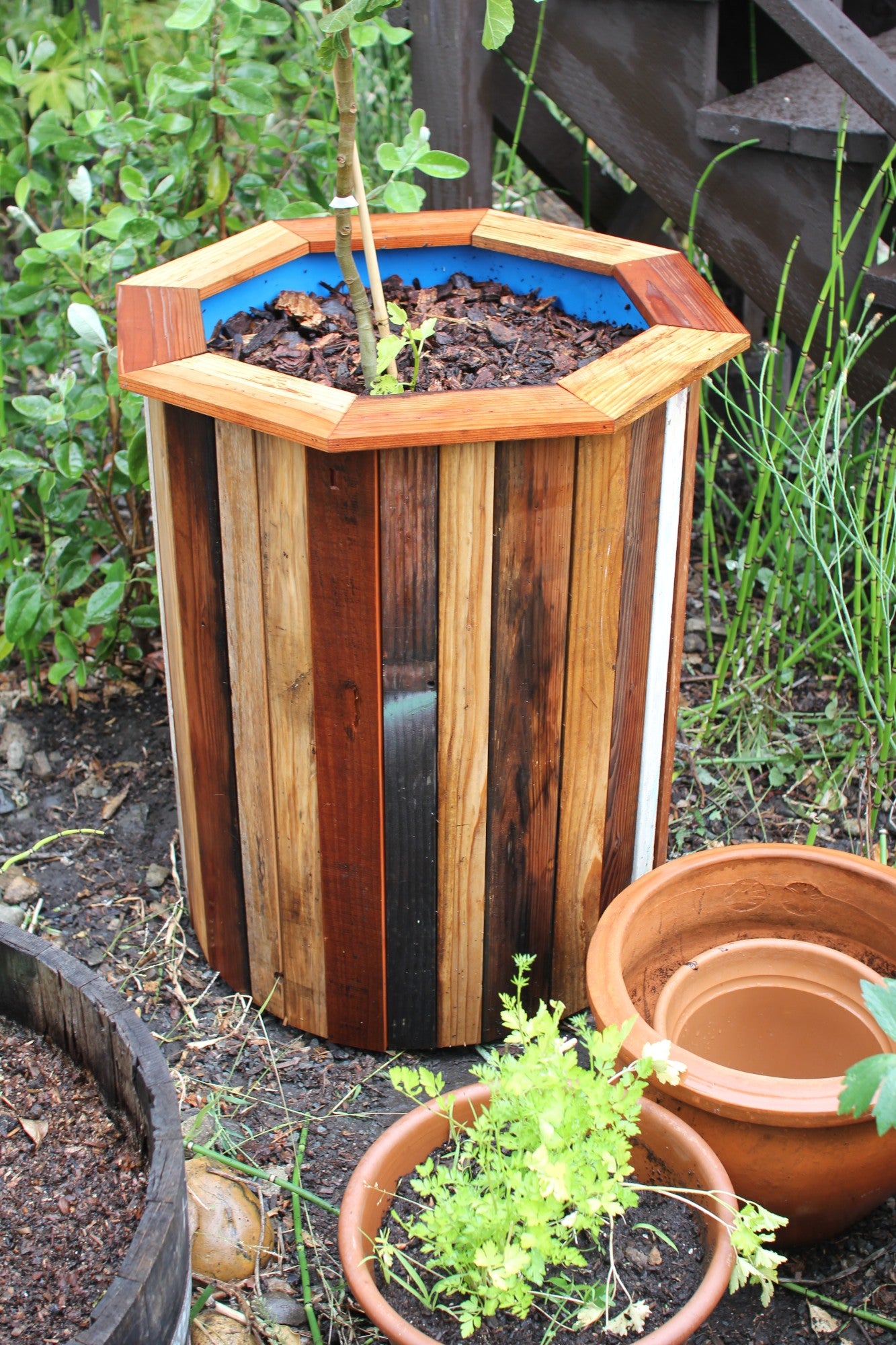 205 LITRE/45 GALLON STEEL DRUM/BARREL/CONTAINER/PLANTER FOR TREES/METAL/FEED/BIN 205 LITRE/45 GALLON STEEL DRUM/BARREL/CONTAINER/PLANTER FOR TREES/METAL/FEED/BIN