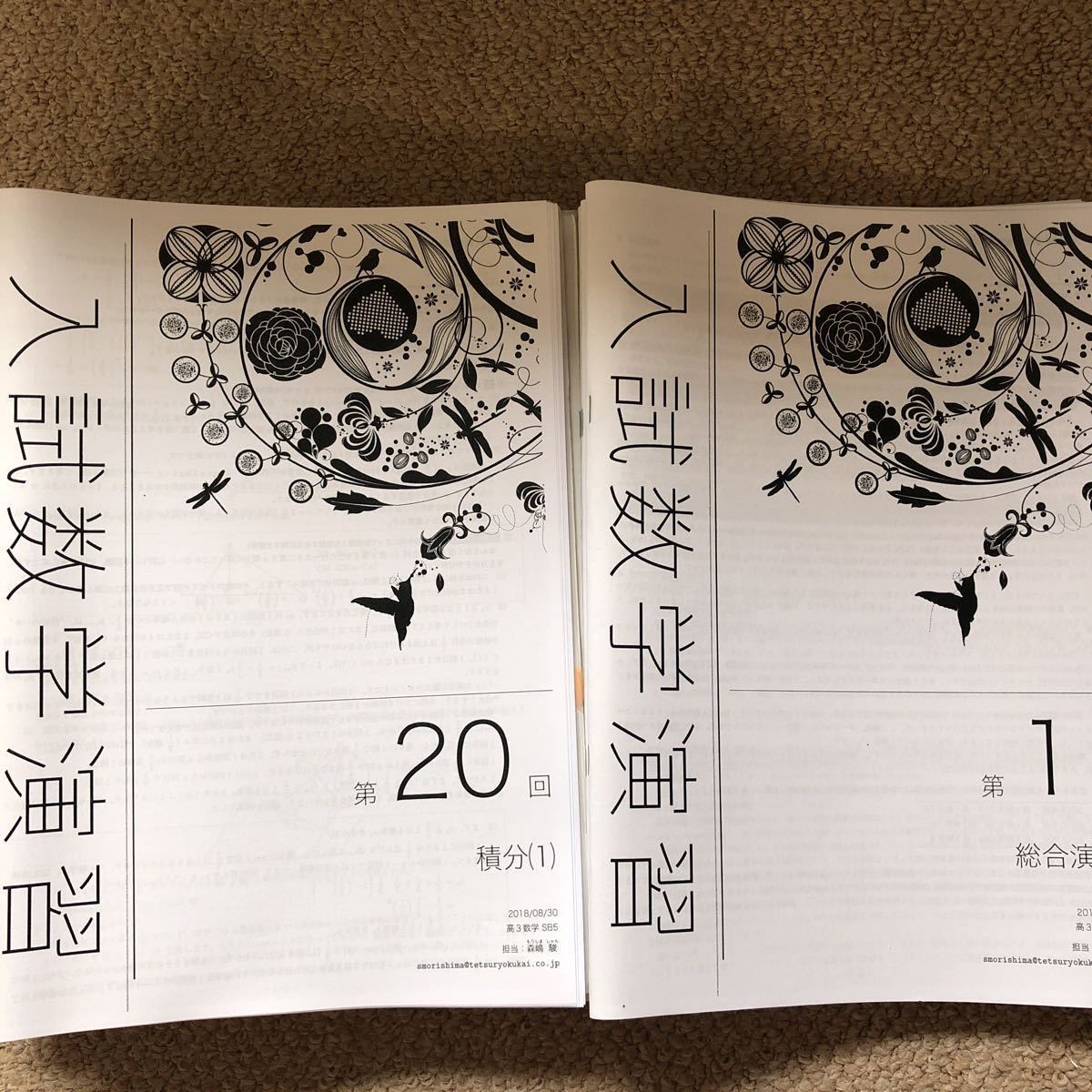 鉄緑会　高3数学　入試数学演習通年教材全セット