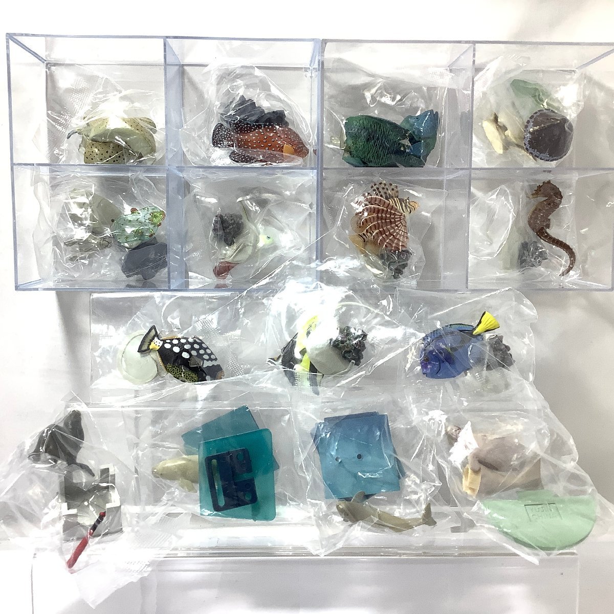内袋未開封 フルコンプ 原色図鑑シリーズ 原色鳥羽水族館立体図鑑 ユージン