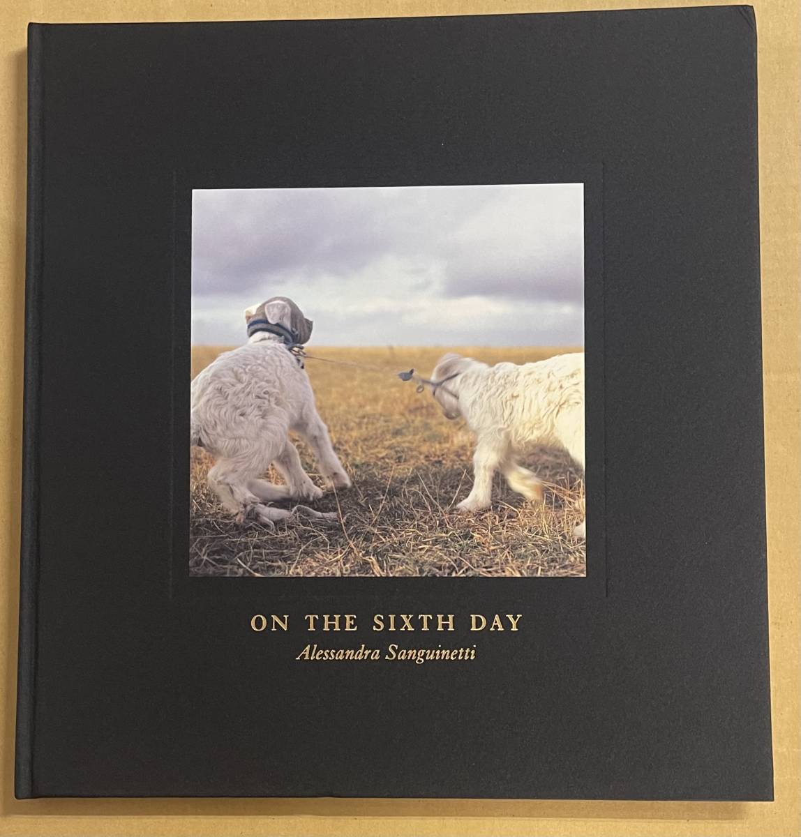 アレッサンドラ・サンギネッティ 写真集 On the Sixth Day Alessandra Sanguinetti FIRST EDITION NAZRAELI
