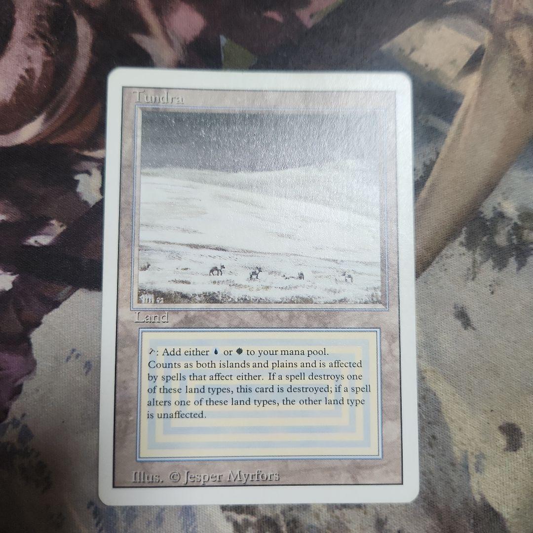 MTG Tundra(3ED) 英語