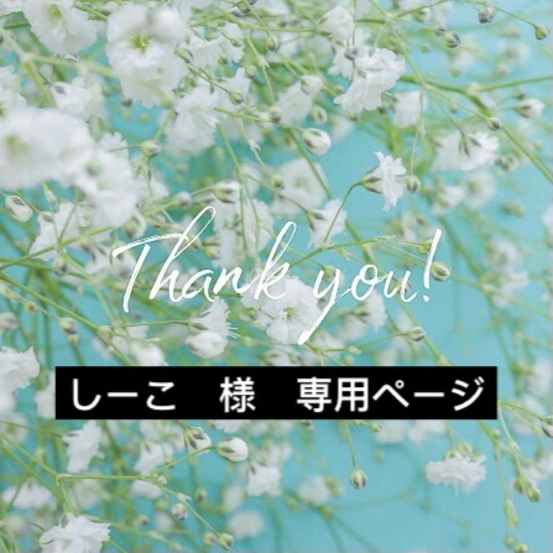しーこ　様　専用ページ