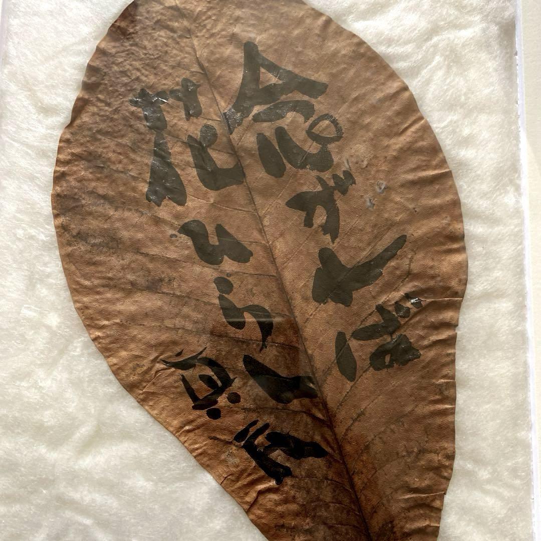 額装　坂村真民　念ずれば花ひらく　朴の葉　直筆
