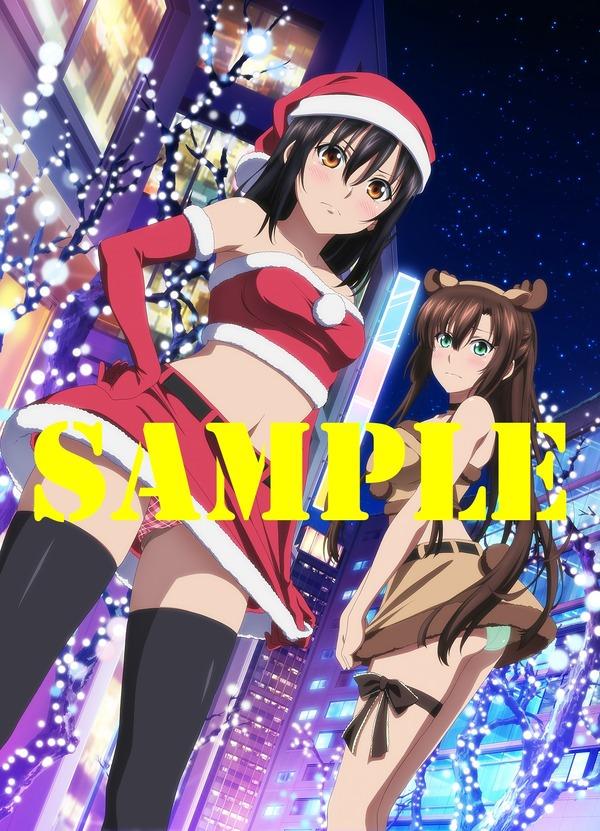 ストライク・ザ・ブラッド IV  アニメイト 全巻特典 描き下ろし 収納BOX
