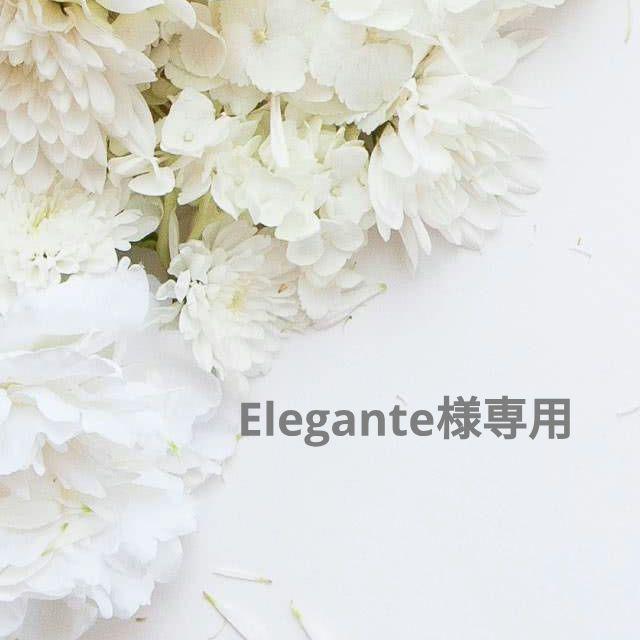 Elegante様おまとめ専用ページ♡