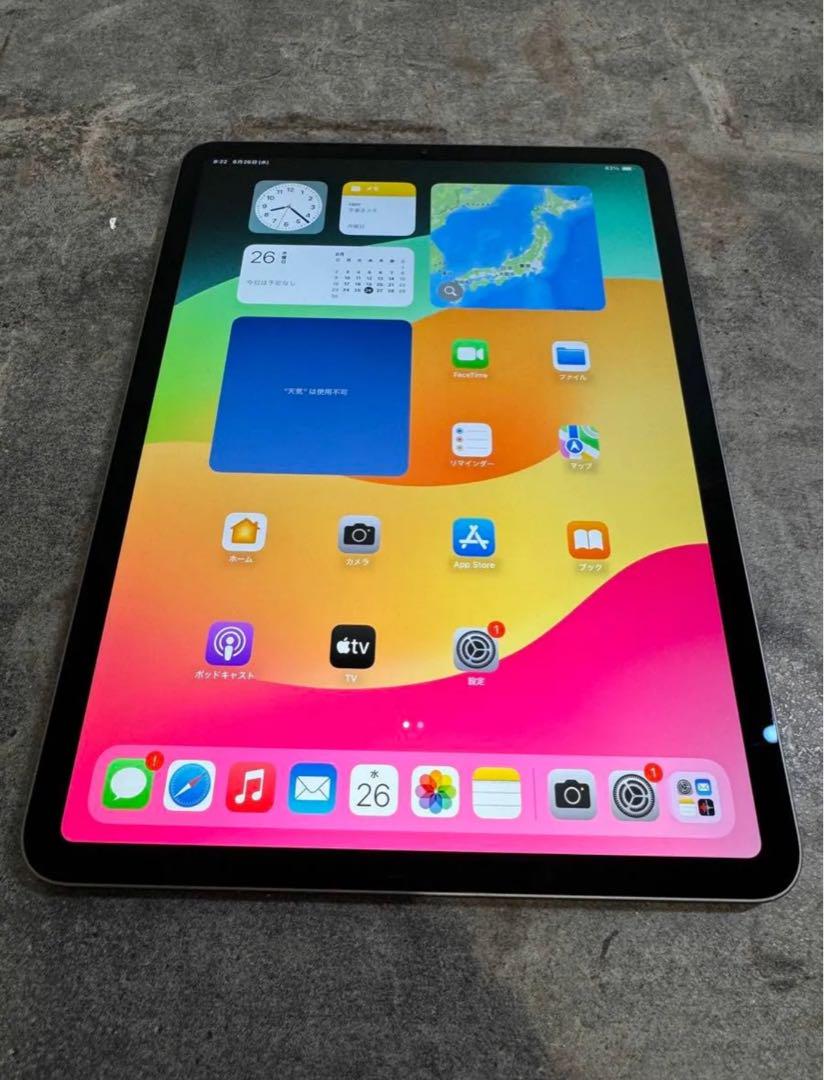 iPad Pro 第1世代 11inch 256GB Wi-Fiモデル※本体のみ