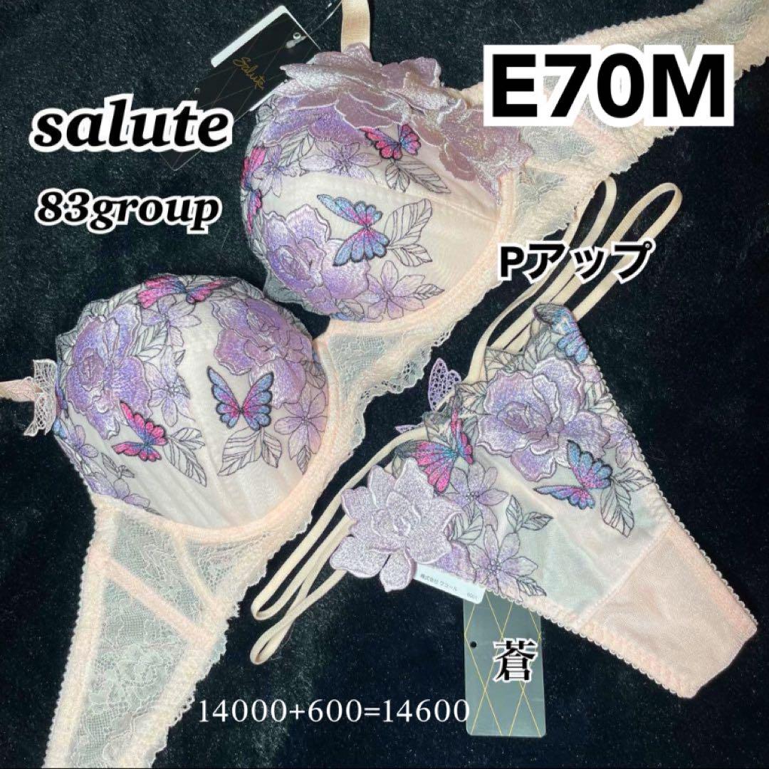サルート83グループピンク、サルート06グループパープルE70ソングMサイズ