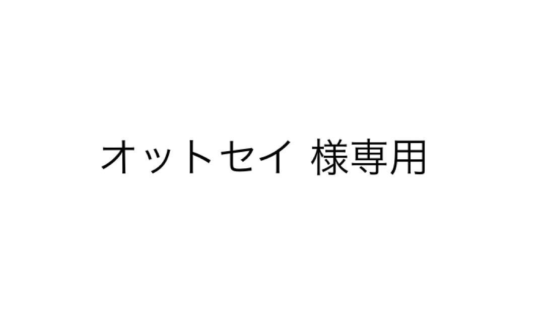 2022/12購入 apple watch ultra Care2024/12迄