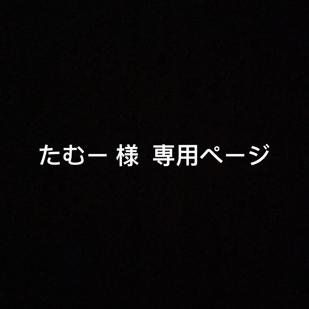 たむー 様     サーボTH
