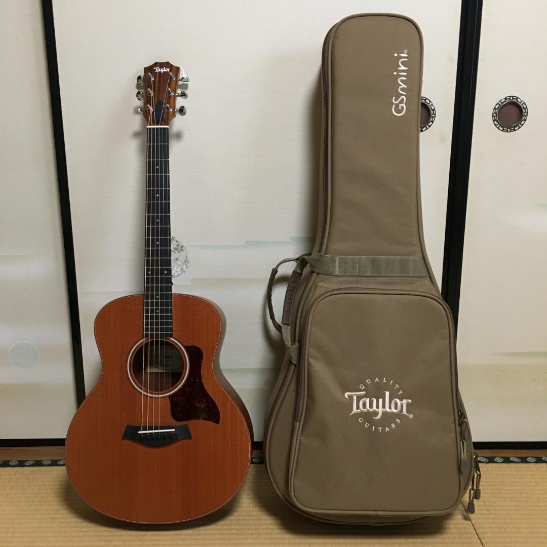 Taylor（テイラー）GS Mini-e Mahogany