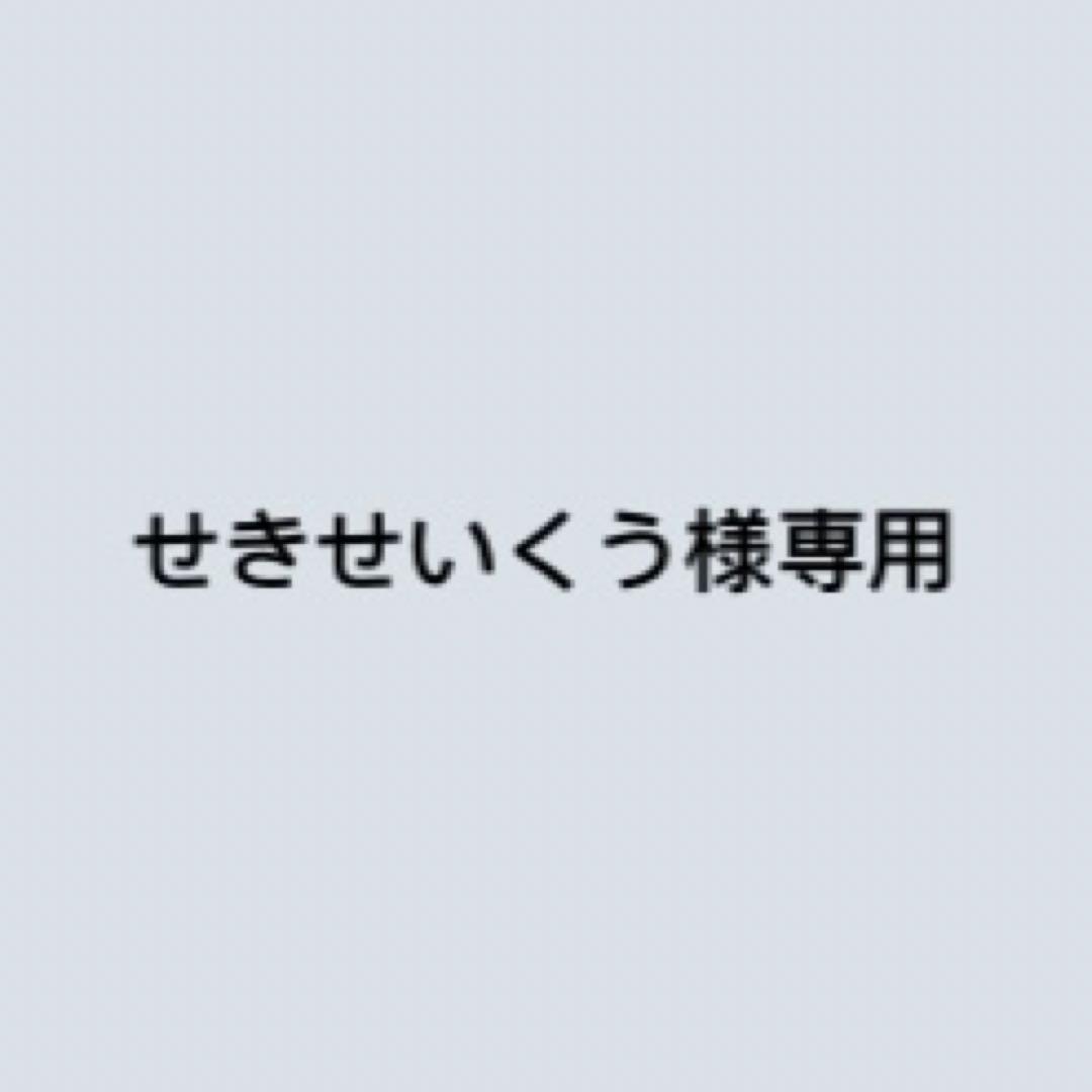 せきせいくう