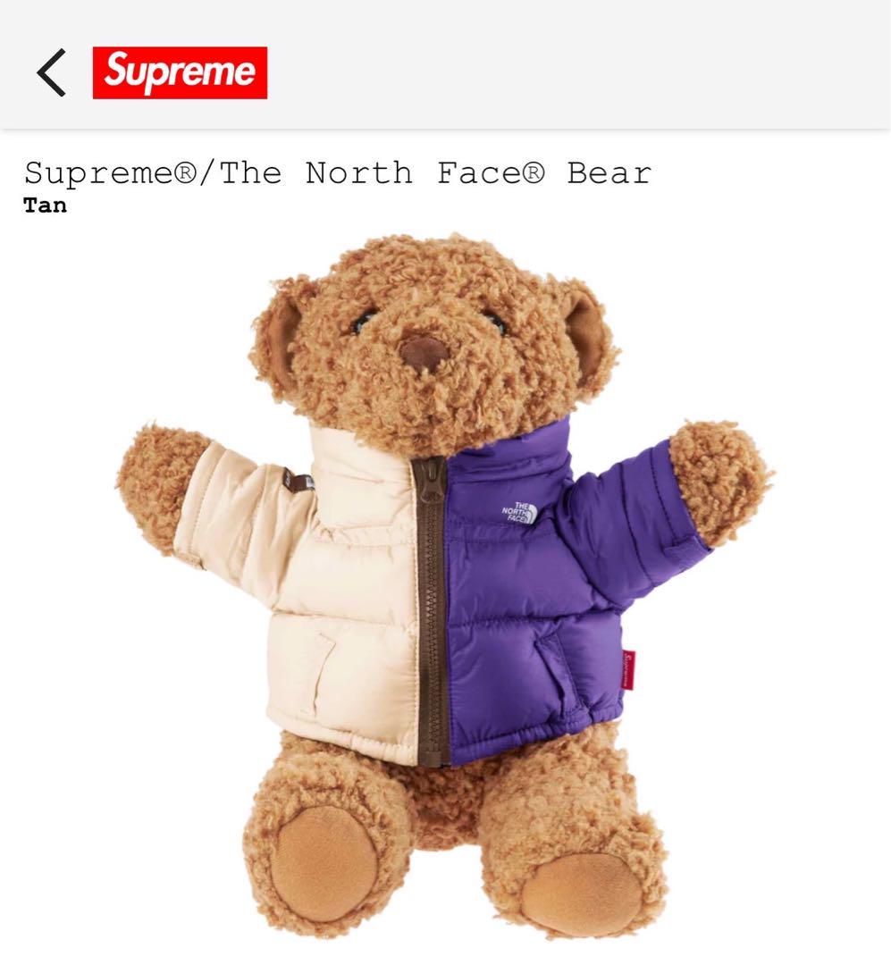 ぬいぐるみ Supreme x The North Face Bear