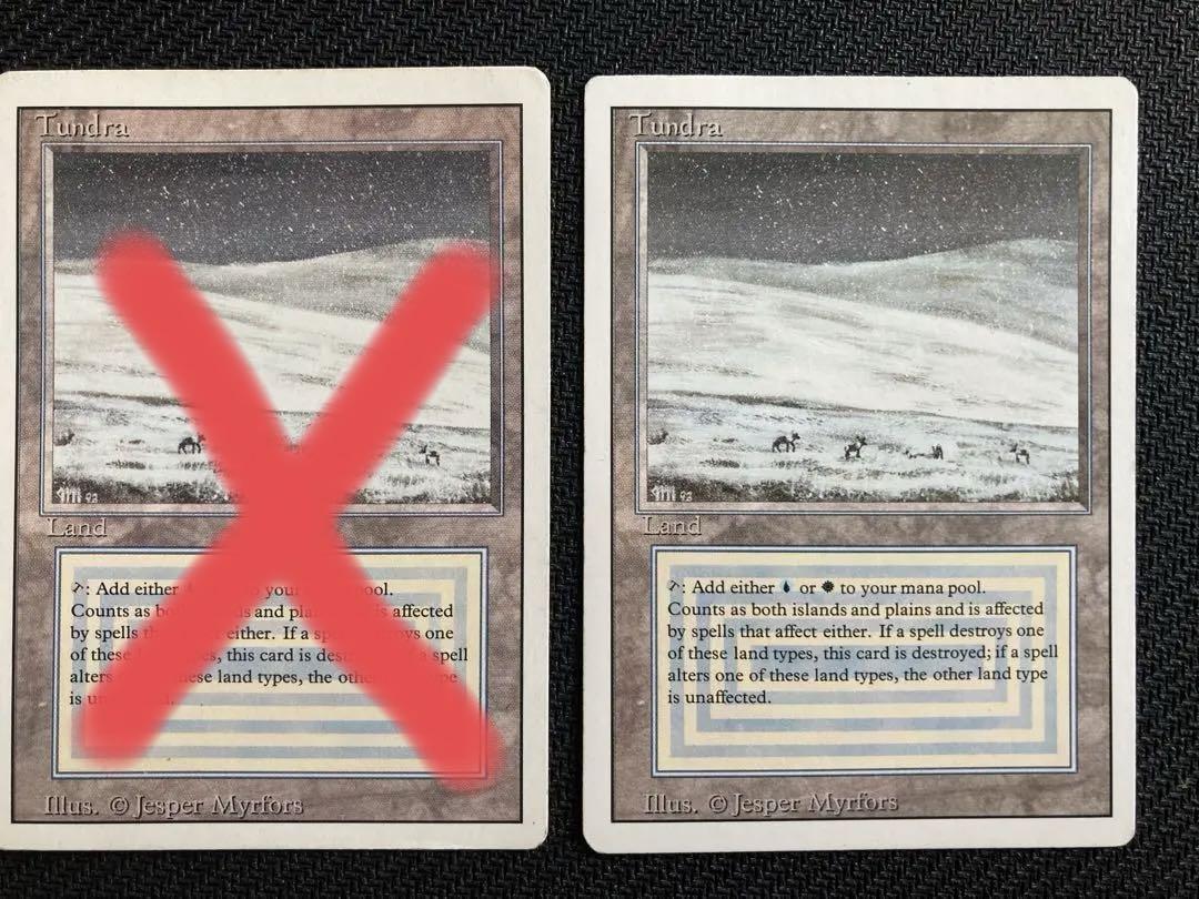 つぶ MTG Tundra RV