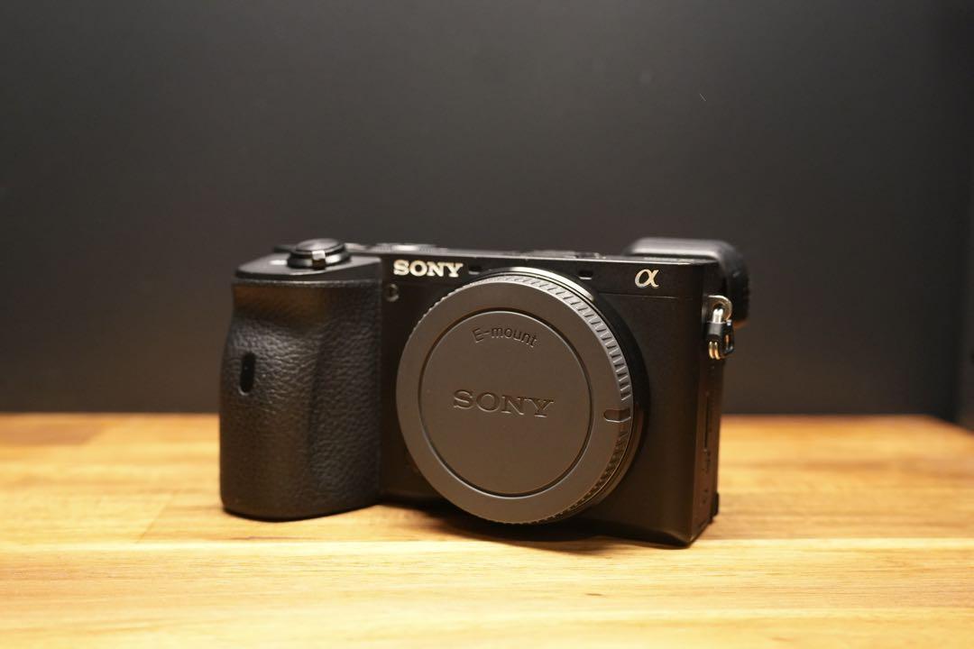 SONY α6600