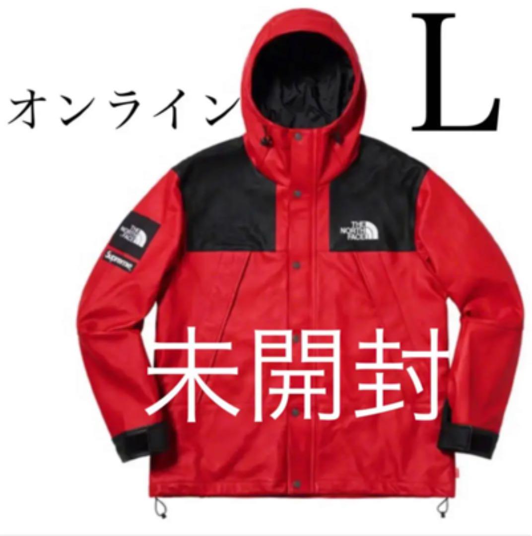 Supreme  The North Face  レザー  マウンテンパーカー