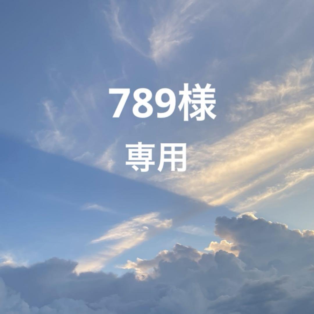 789＊5/31まで完成10点分＊