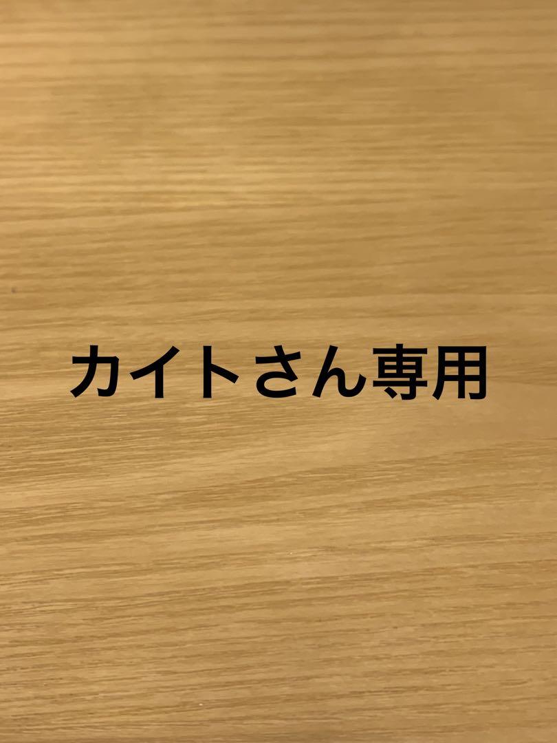 カイトさん専用　BM11-Asec  パラレル