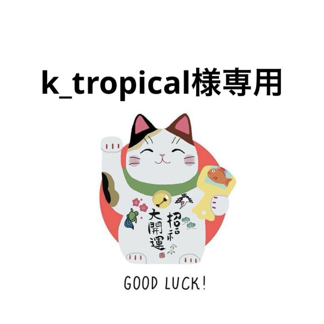 その他観葉植物 k_tropical