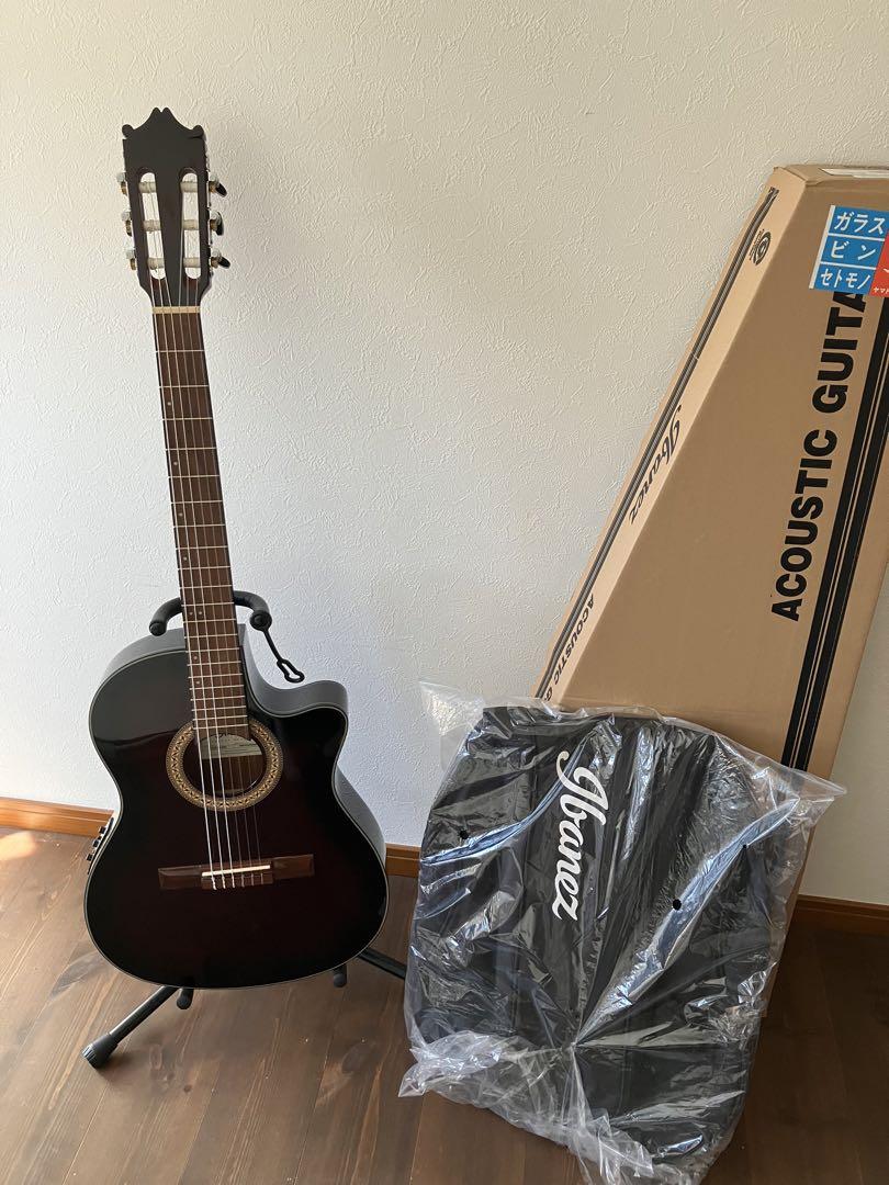 【最終お値下げ】Ibanez エレガット　GA30TCE-DVS