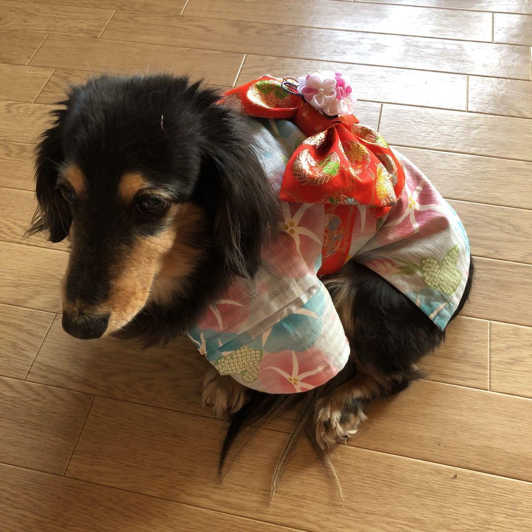 はなこさん専用