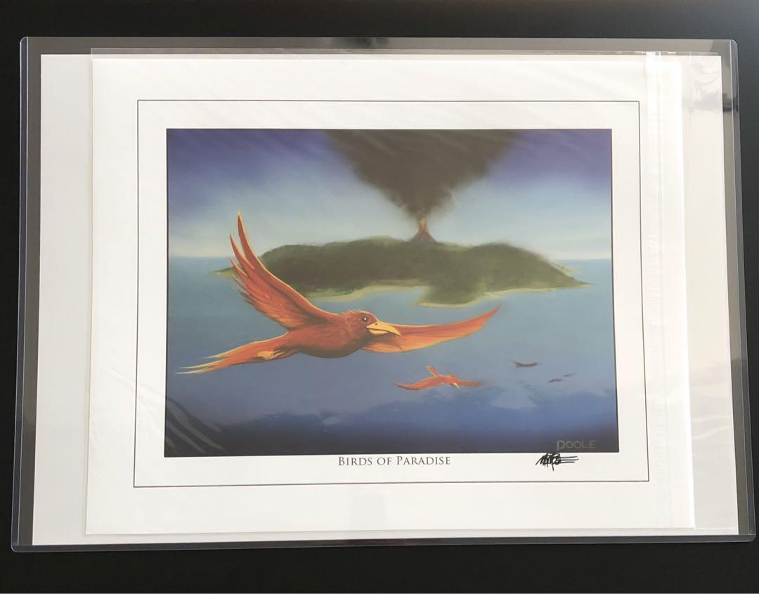Mark Pooleアートプリント　極楽鳥　Birds of Paradise