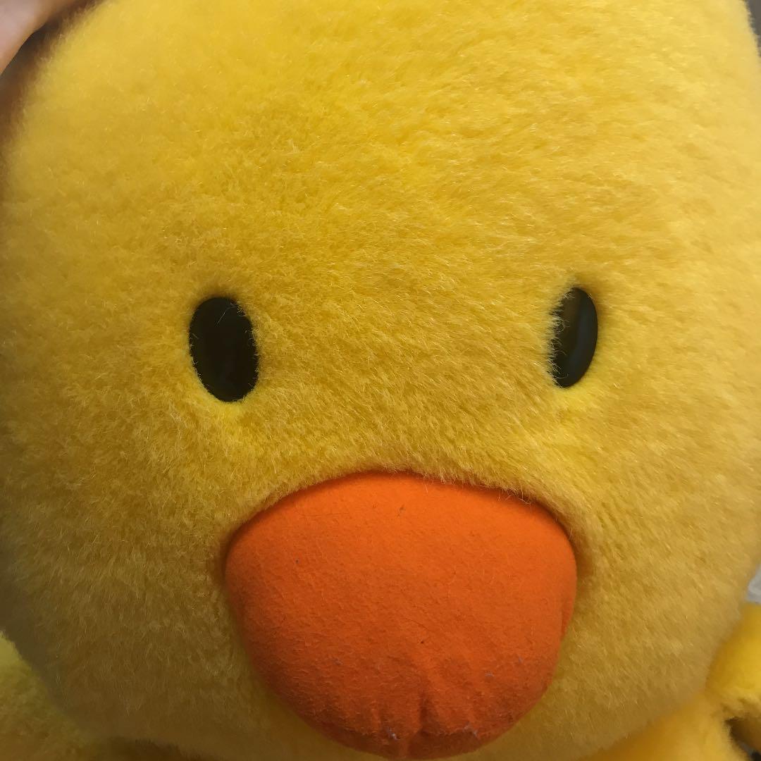 いぬ