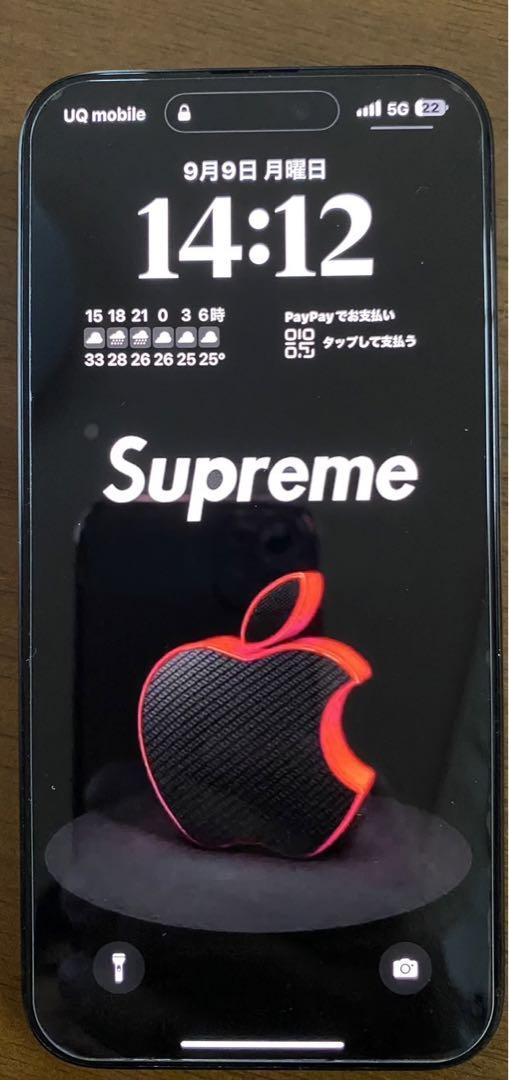 iPhone15Pro Max256GB ブラックチタニウム　SIMフリー