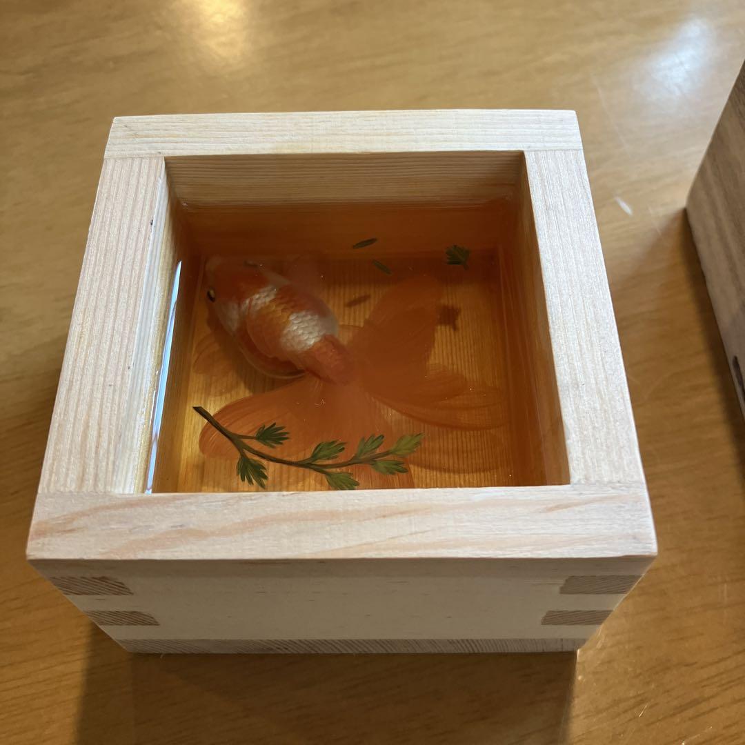 ★リアル金魚★芸術作品★桐箱二重★日本製　現代アート