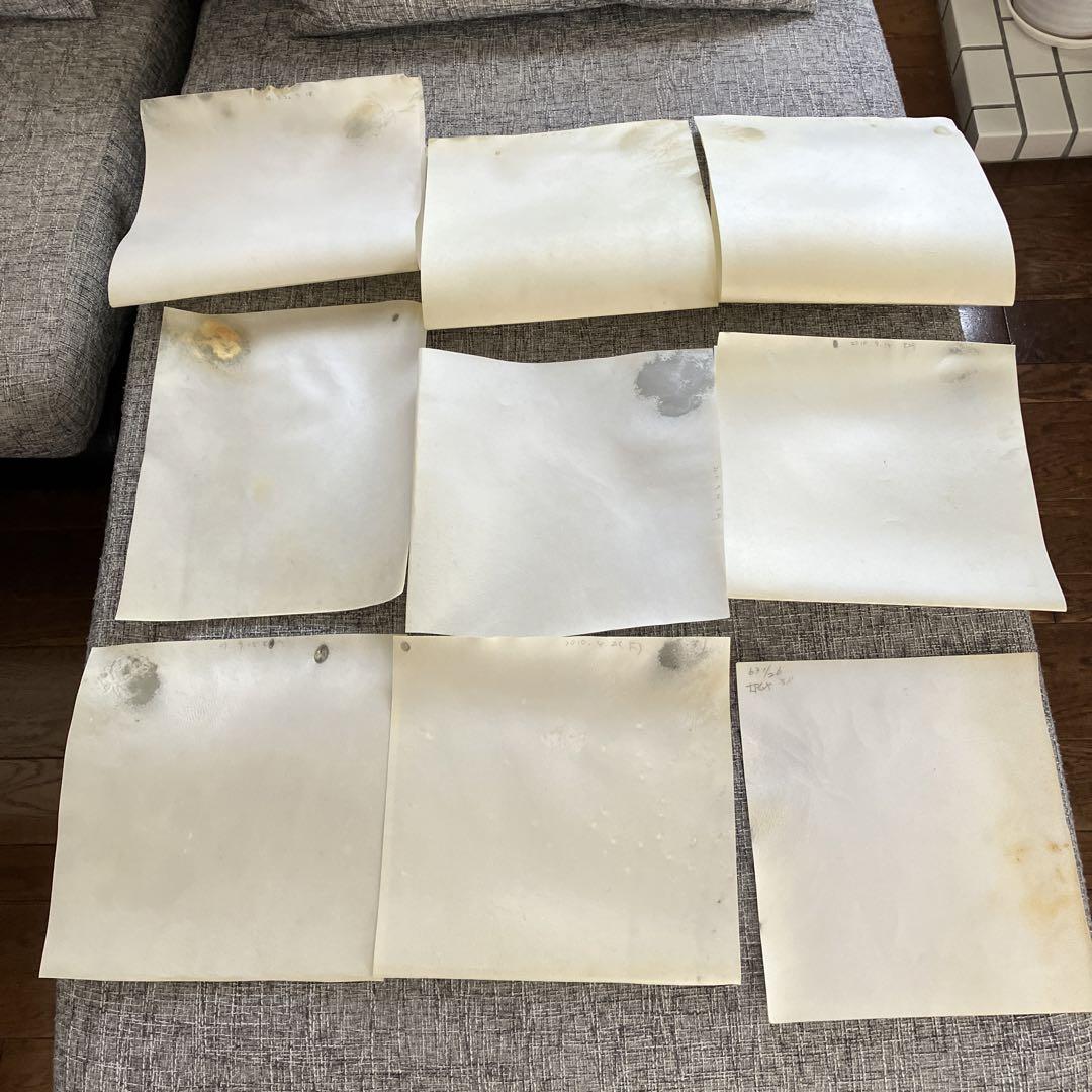 三味線　皮(犬) 15面分