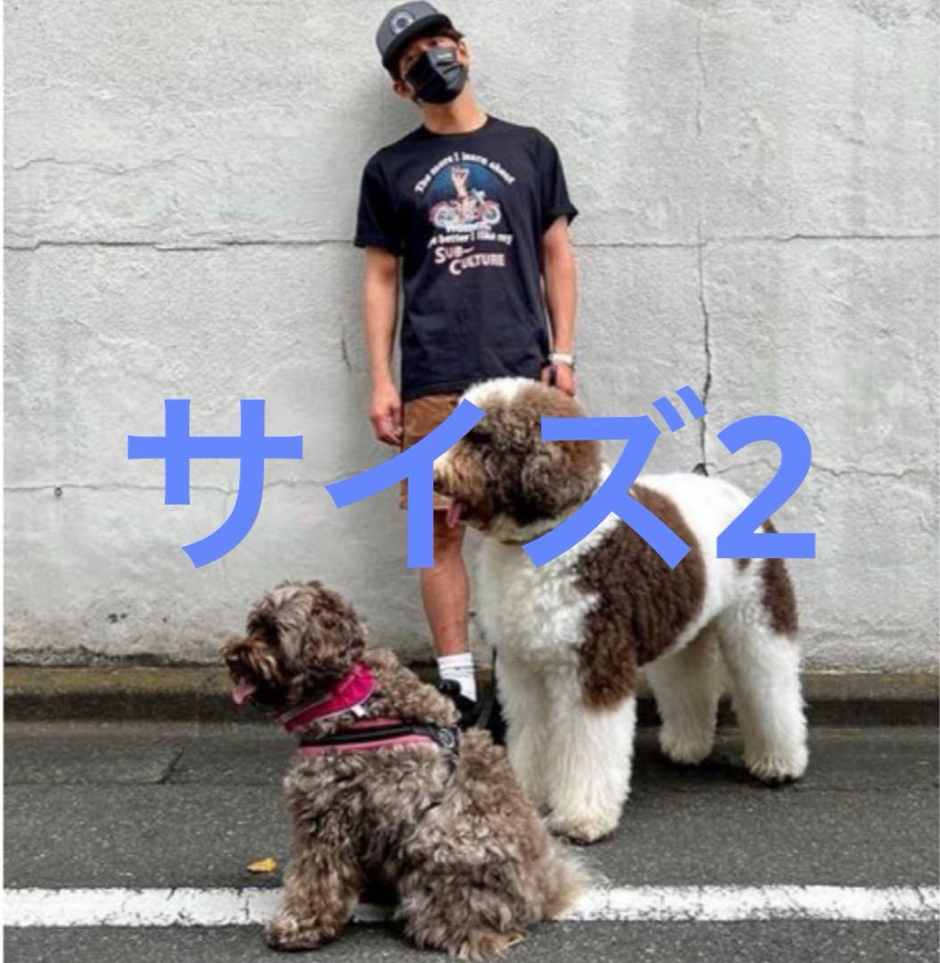 キムタク着　subculture サイズ2 激レア