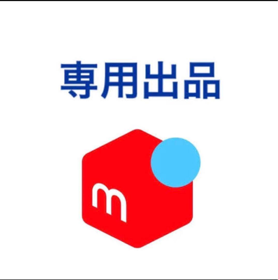新品未開封品　パイロット 万年筆 カスタム845 朱　細字