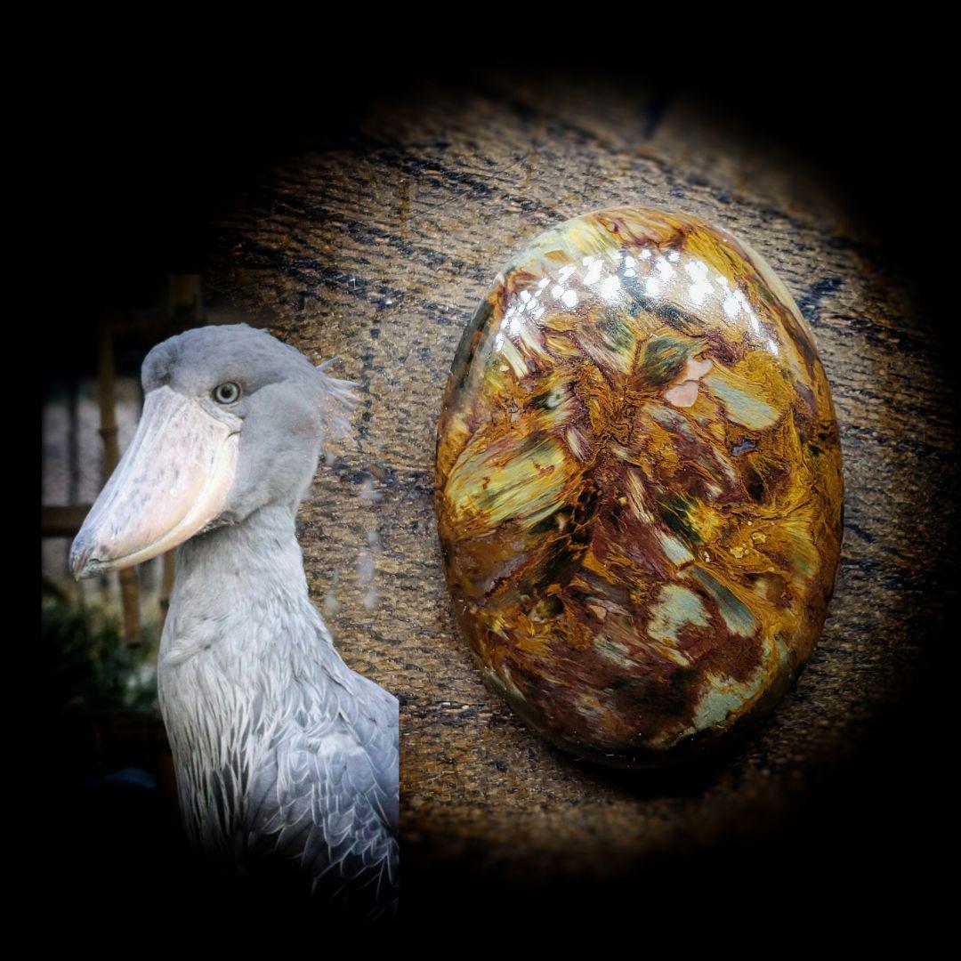天然石　角閃石　ピーターサイト　鳥文様　ハシビロコウ　希少