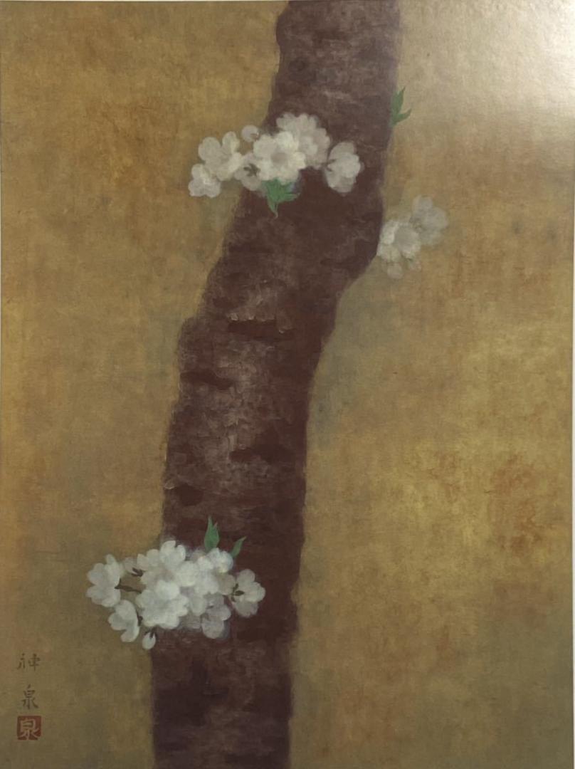 徳岡 神泉、【桜】、希少な大判額装画、新品額装付、状態良好