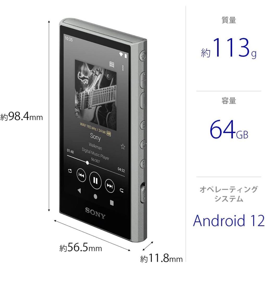 SONY ウォークマン NW-A307/BC J