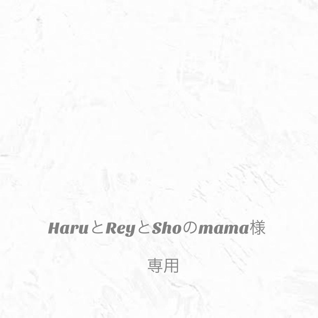 HaruとReyとShoのmama