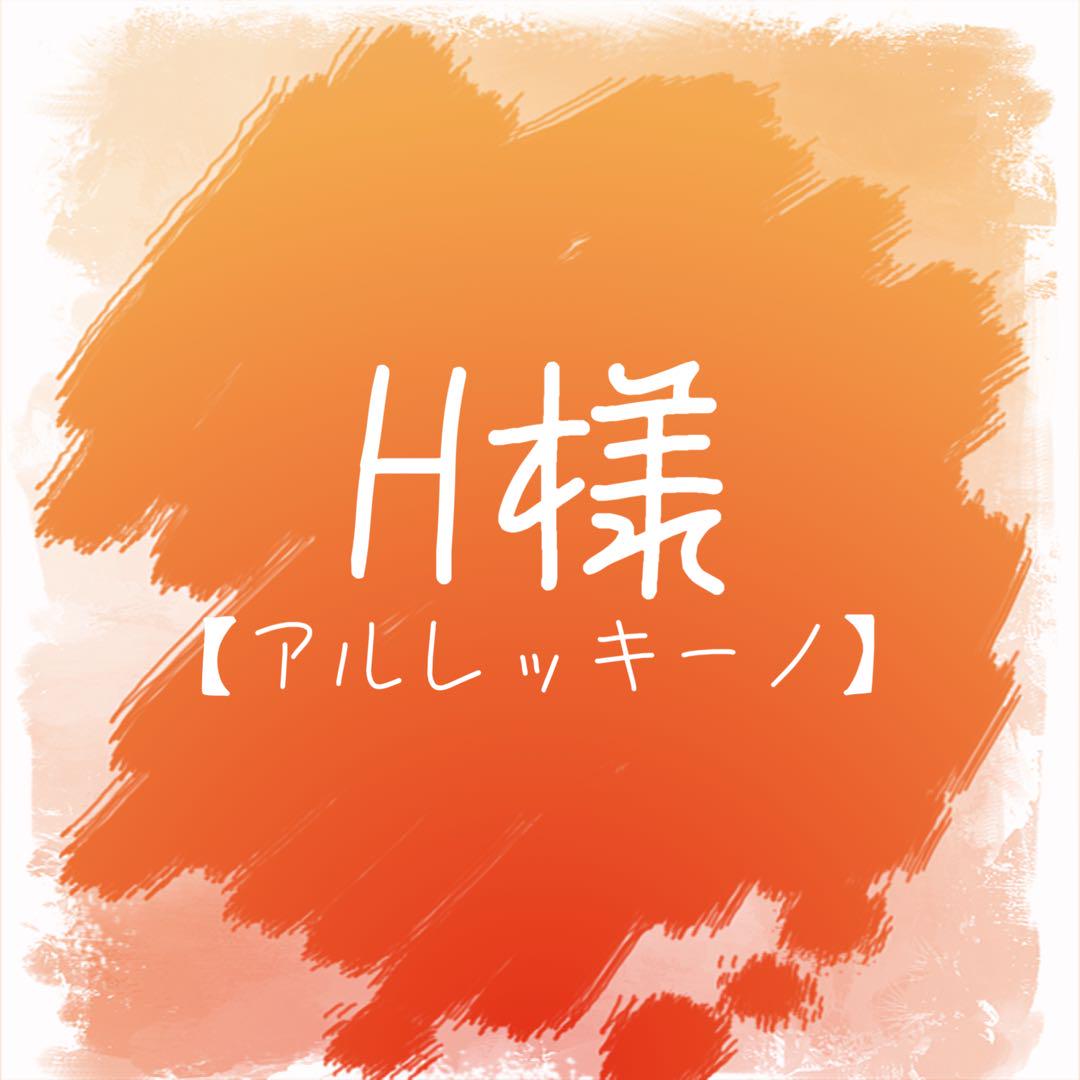 H様 ウィッグオーダー 専用ページ