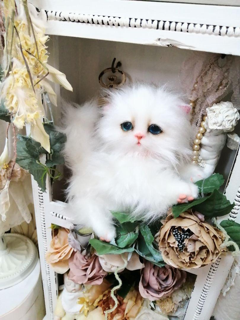 (ΦωΦ)まみ〜ちゃん(ΦωΦ)あるかりちゃん御予約♥猫♥(ΦωΦ)♥