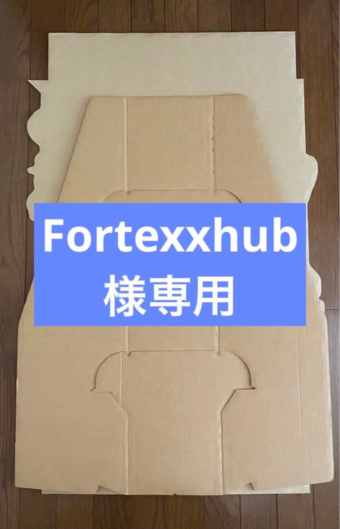 Fortexxhub ロックマンエグゼ4 立て看板