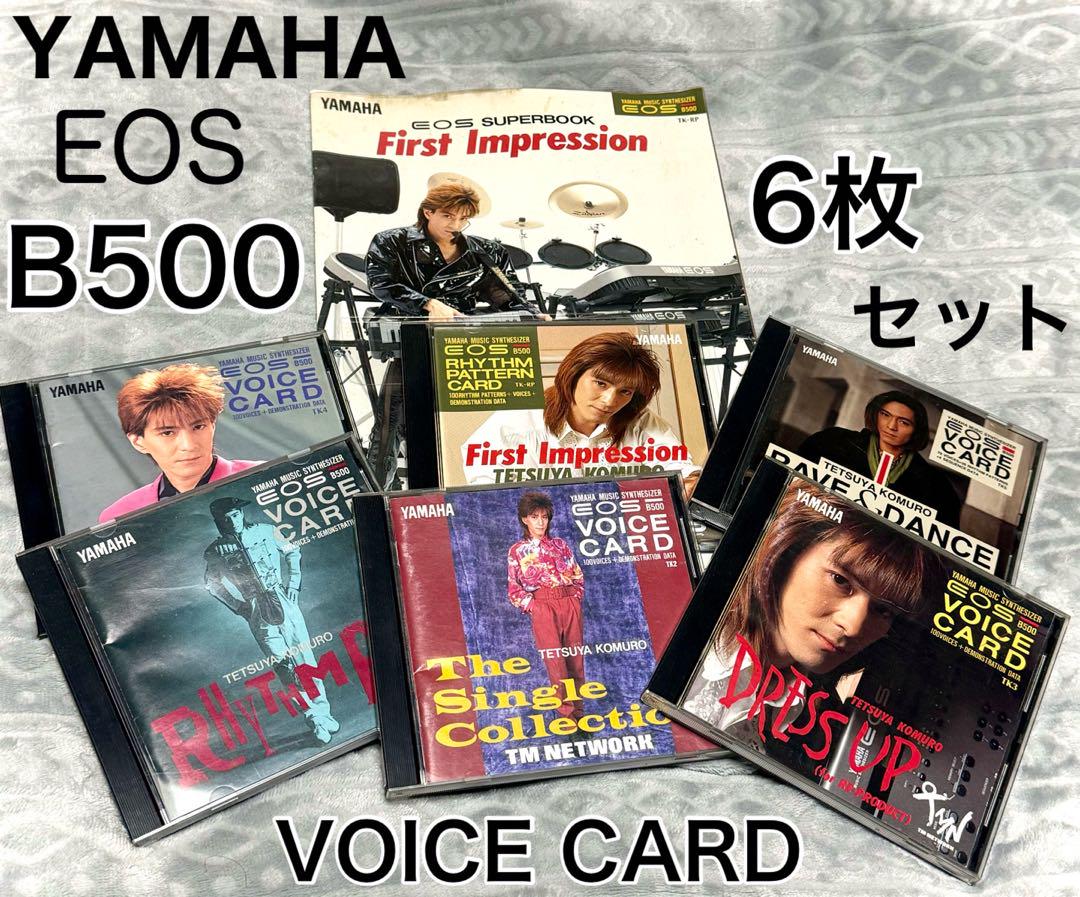 YAMAHA EOS B500 VOICE CARD ボイスカード 動作確認済