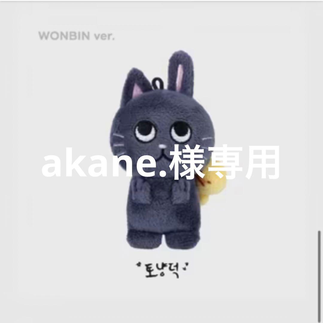 ペンライトカバー　riize ウォンビン　トニャンドク　토냥덕