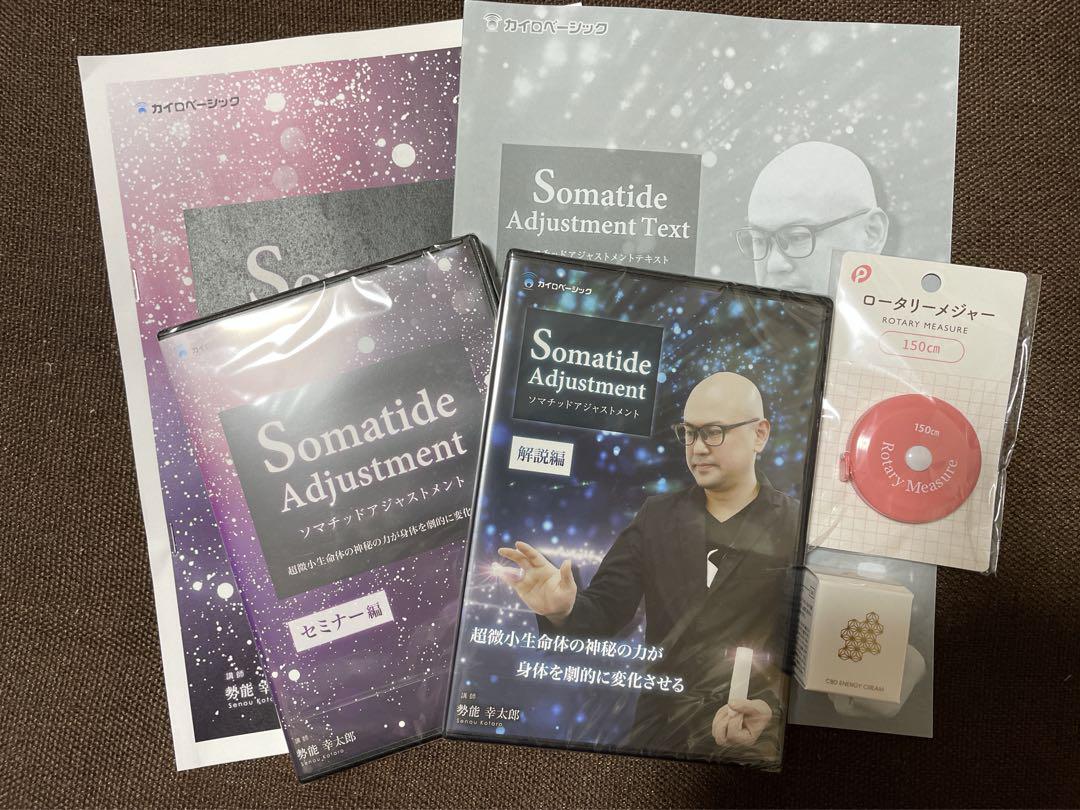 【勢能幸太郎先生】ソマチッドアジャストメント DVD