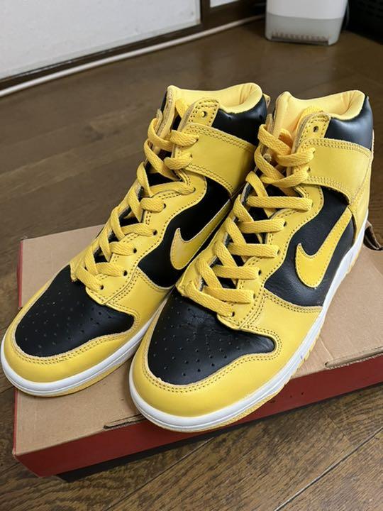 NIKE ナイキ　ダンク　アイオワ　99